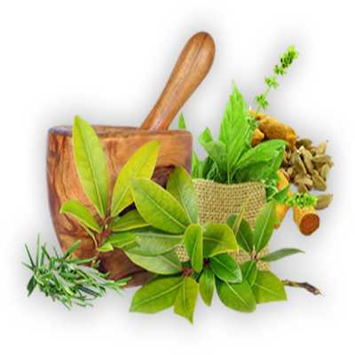 Ayurvedic Products